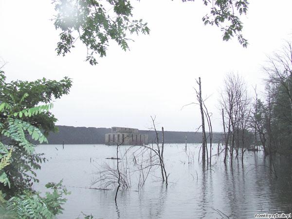 Mariensztat zalały wody kopalni Szczygłowice