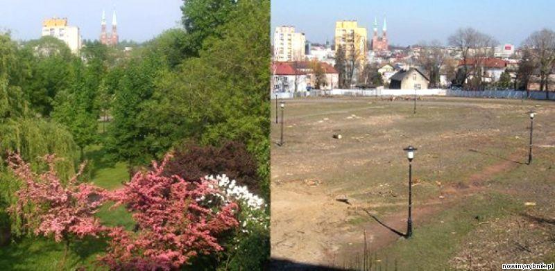 Park przy Domusie przed i po wycince / Archiwum