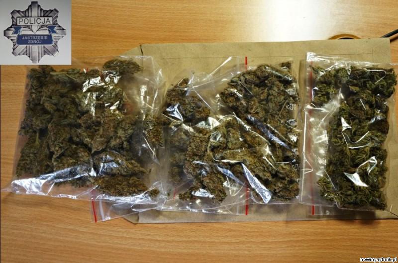 W pokoju hotelowym policja znalazła ponad 30 porcji marihuany / Policja Jastrzębie