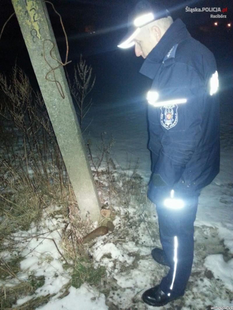 Policjanci zidentyfikowali pociski, powiadomili wojskowych saperów / Policja Racibórz