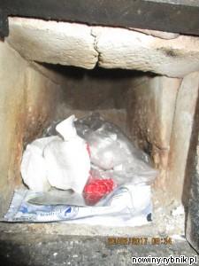 Mieszkańcy płacą mandaty i dalej palą śmieciami / Straż Miejska w Rybniku