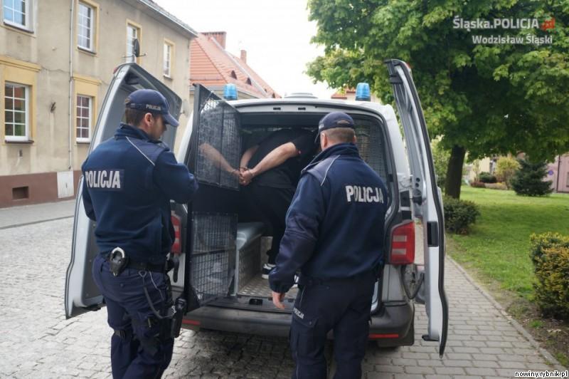 Wodzisławska policja walczy z przestępczością narkotykową / http://wodzislaw.slaska.policja.gov.pl/