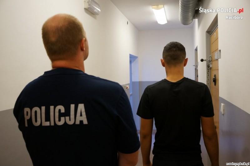 Podejrzanym o kradzież grozi do 5 lat więzienia / Policja Racibórz