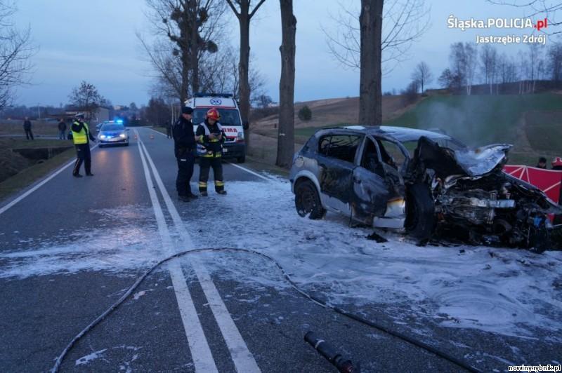 Opel uderzył w przydrożne drzewo / Policja Jastrzębie