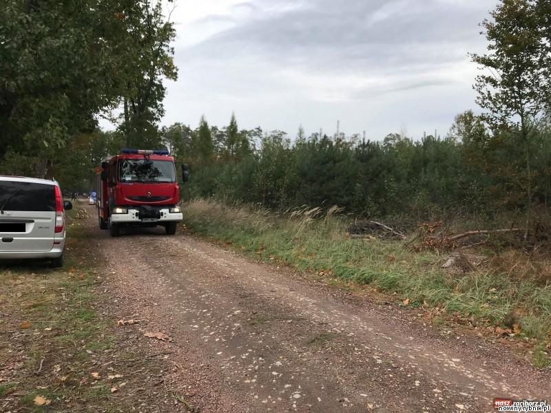 Do tragedii doszło w lesie między Kuźnią Raciborską a Rudą Kozielską / NaszRacibórz