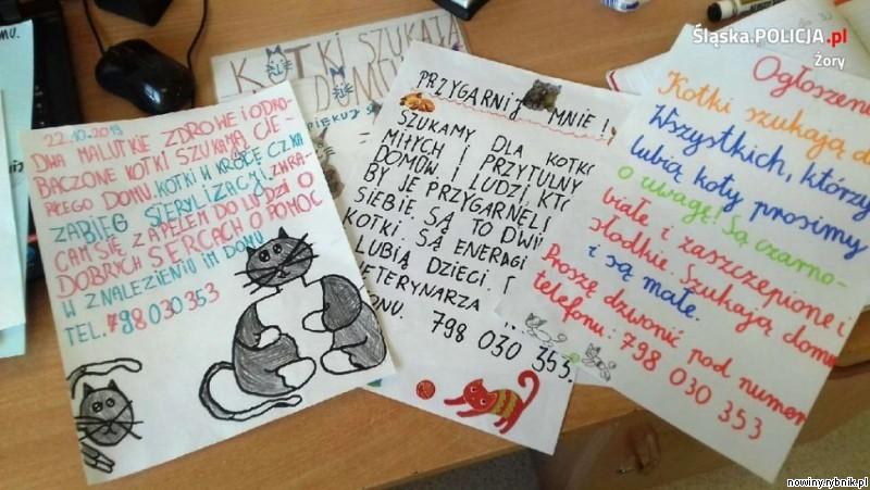 Dzieci narysowały porzucone kocięta, dzięki czemu zainteresowały żorzan ich losem / Policja Żory