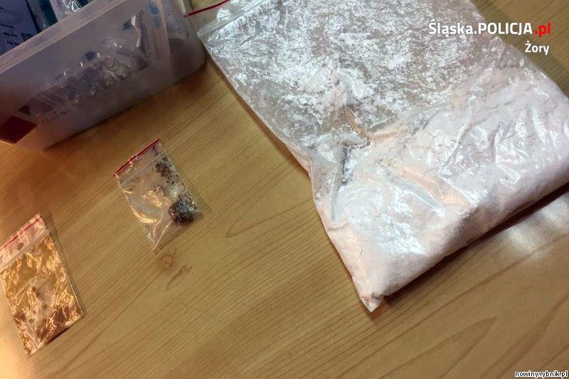 Policjanci zabezpieczyli ponad 60 gramów narkotyków / Policja Żory