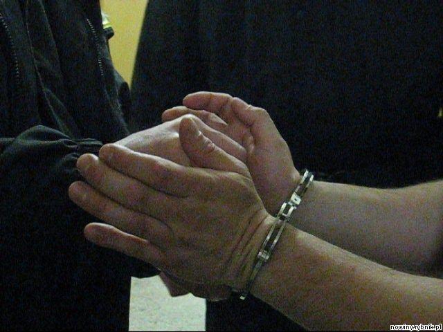 19-letniemu złodziejowi grozi nawet 7 lat więzienia / Policja Żory