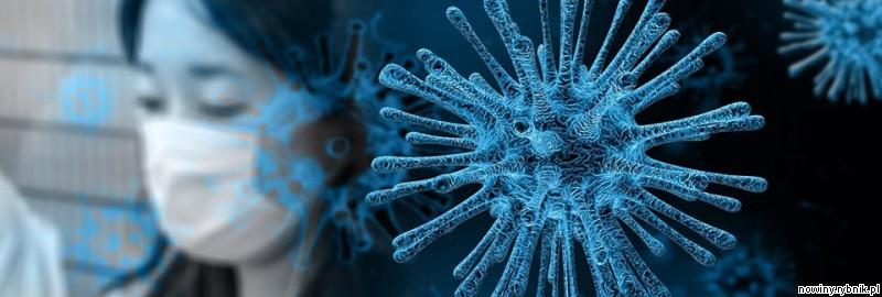 Wśród 27 nowych chorych na koronawirusa jedna z kobiet trafiła do szpitala w Raciborzu / Pixabay