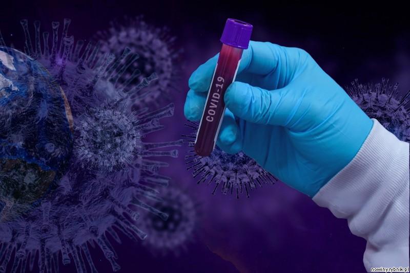 Zakażenie koronawirusem badania laboratoryjne potwierdziły dotąd u 2692 osób, 51 z nich zmarło / pixabay