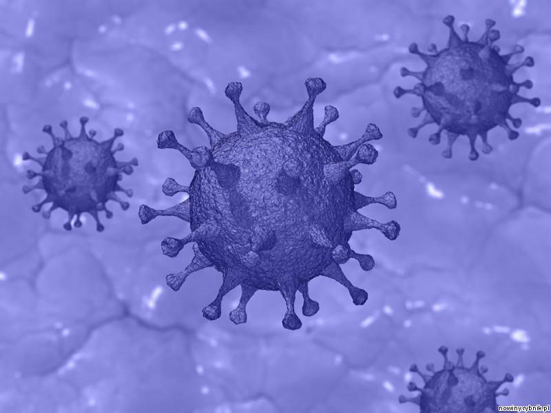 191 przypadków koronawirusa w ciągu ostatniej doby w województwie śląskim / Pixabay